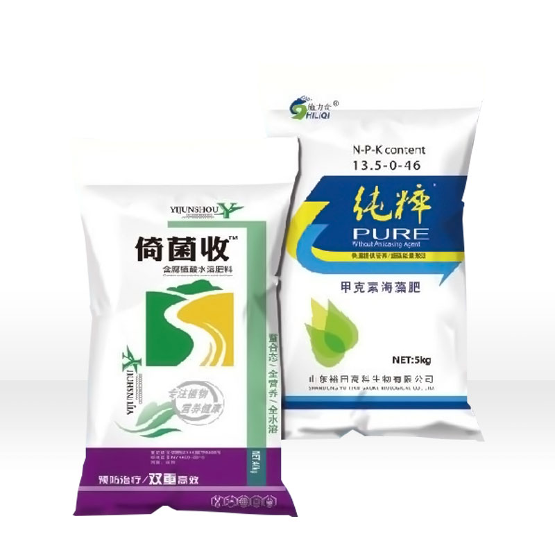 倚菌收 純粹