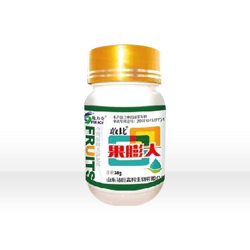 敢比果膨大