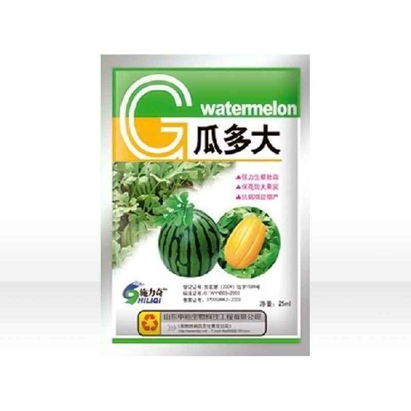 瓜多大