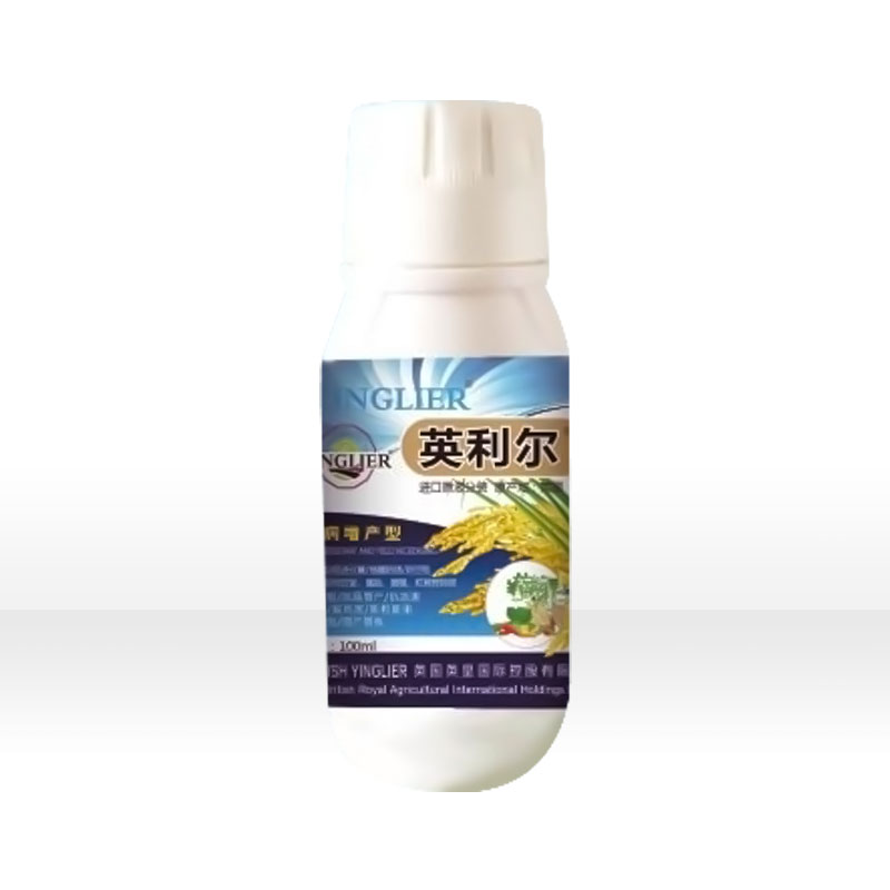 英利爾